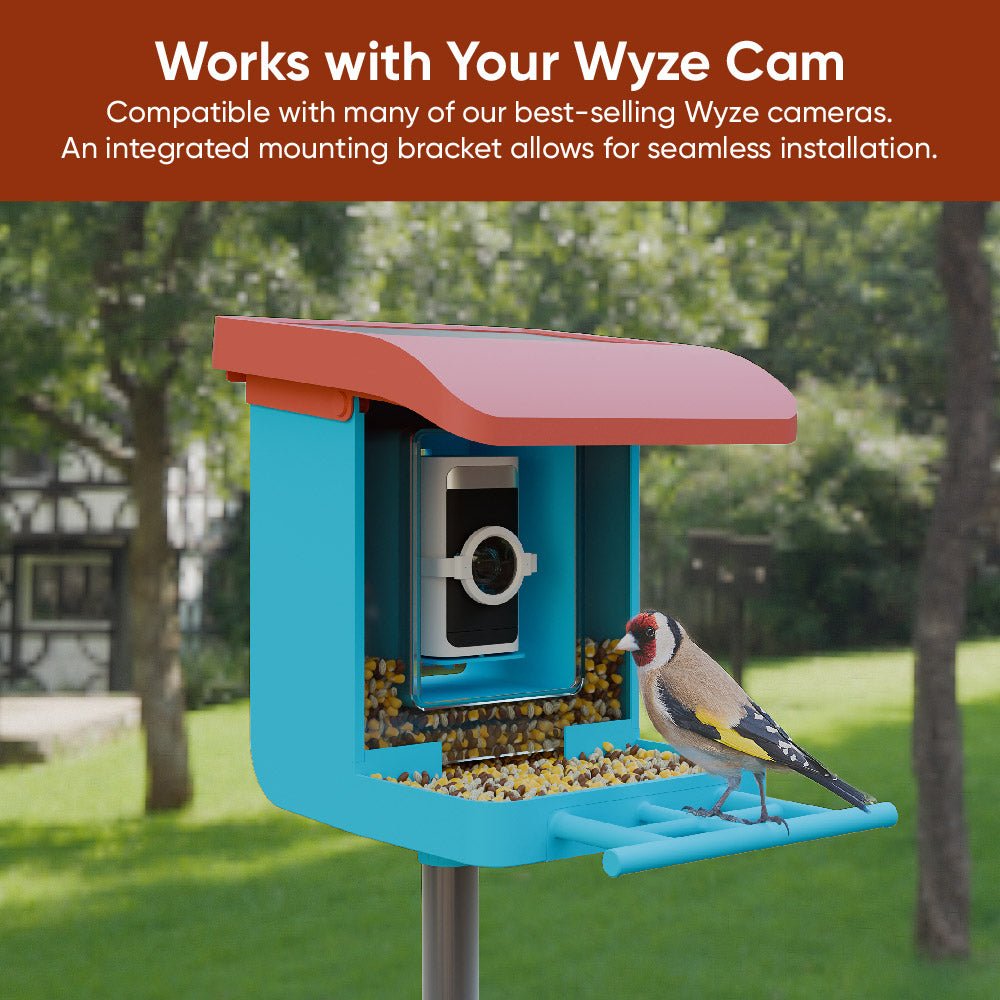 Fancy Bird Feeder