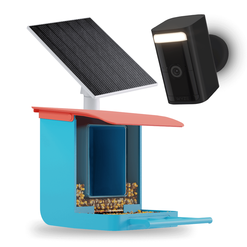 Bird Feeder Wireless Camera Bundle