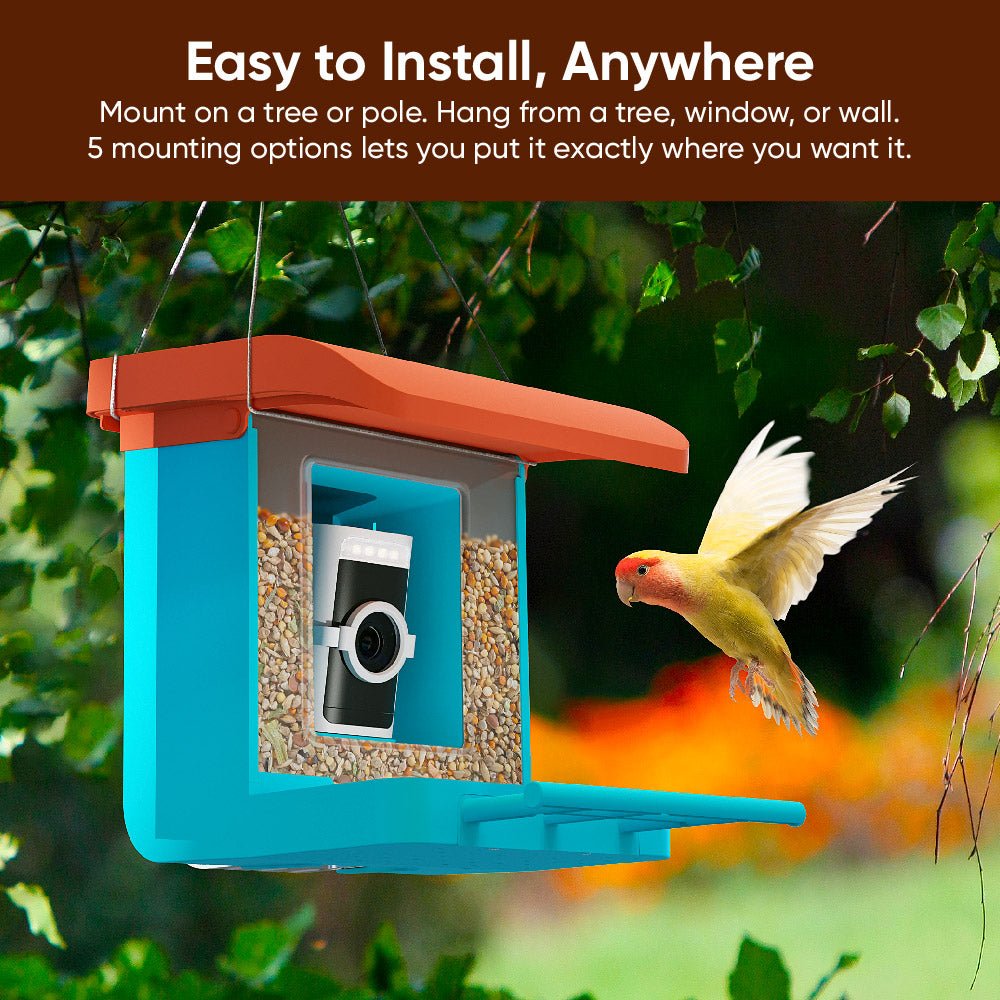 Fancy Bird Feeder