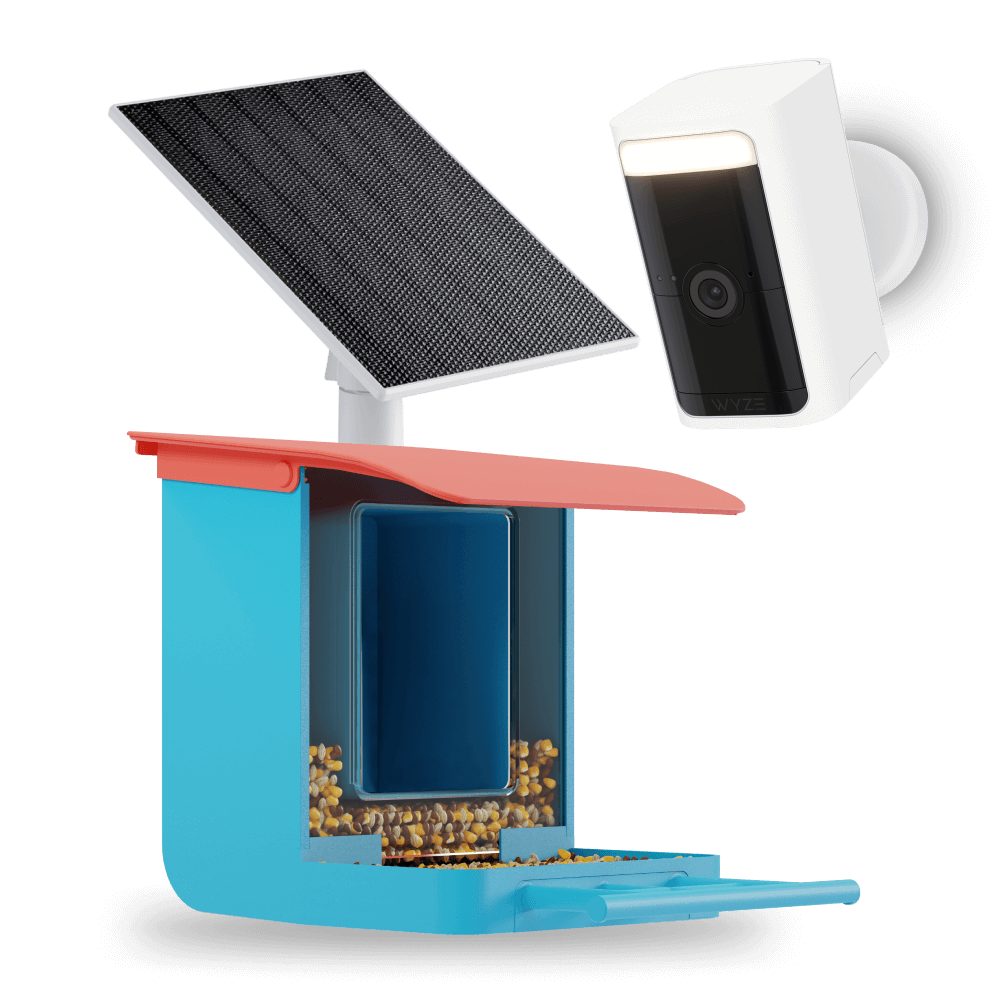 Bird Feeder Wireless Camera Bundle
