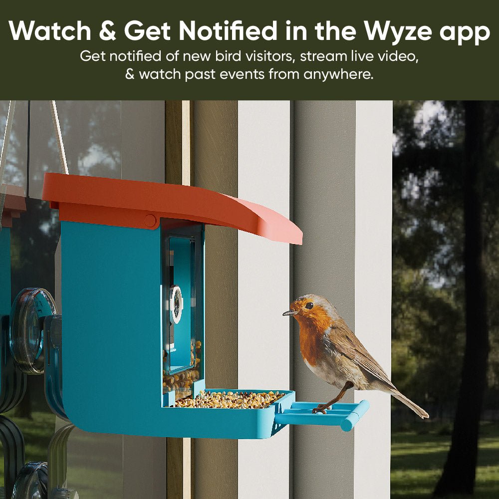 Fancy Bird Feeder