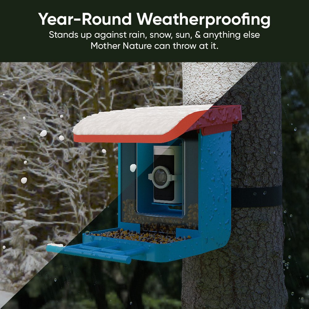 Fancy Bird Feeder