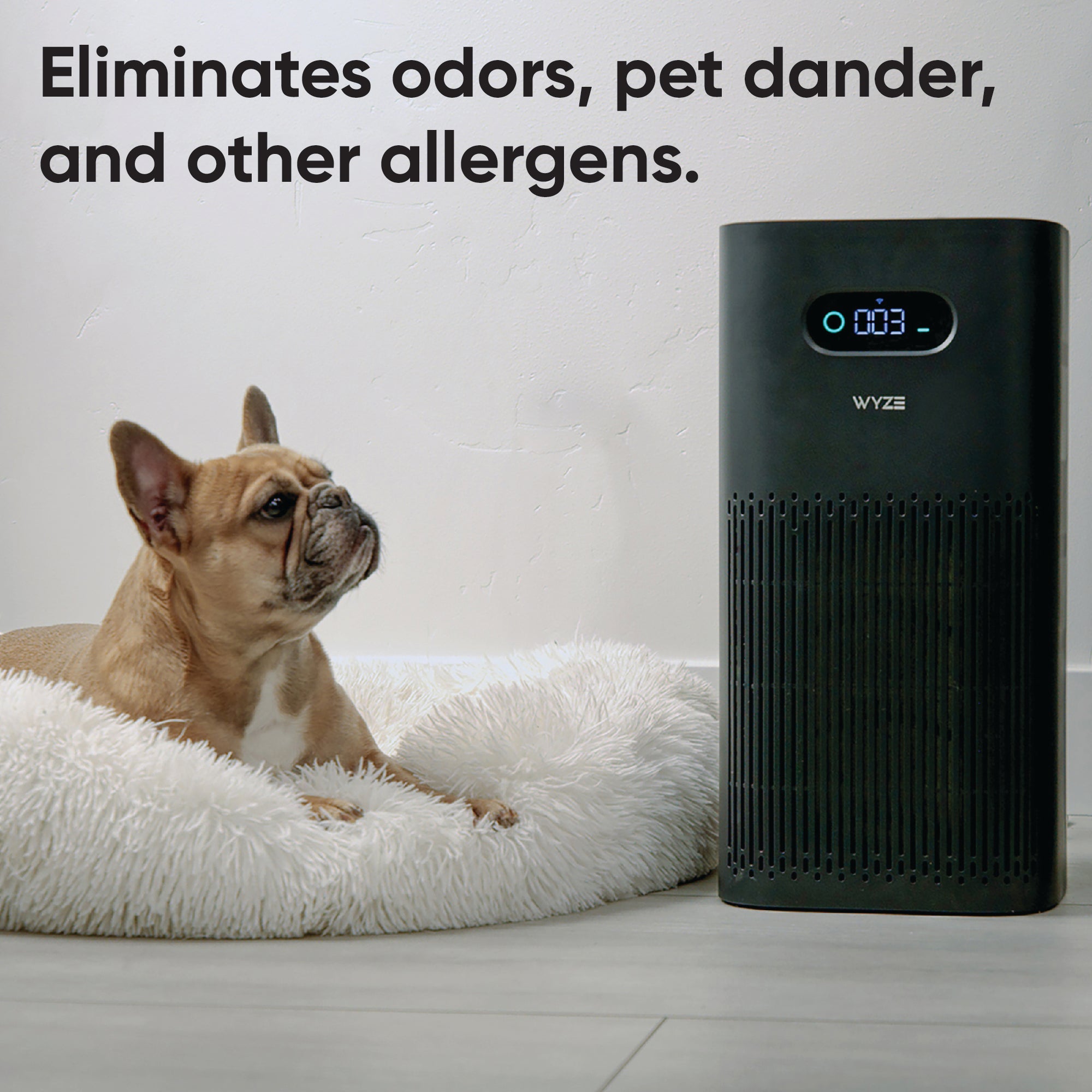 (Refurbished) Fancy Air Purifier
