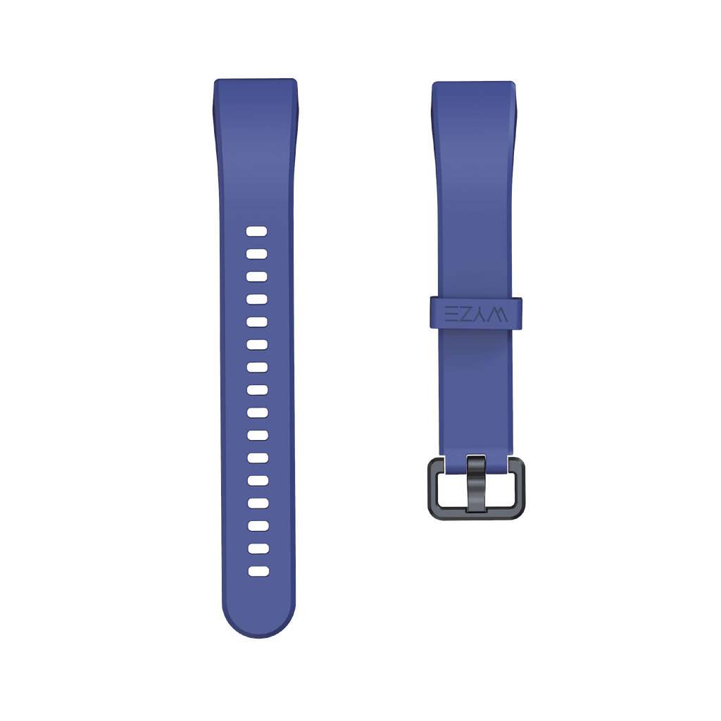 Fancy Band Straps