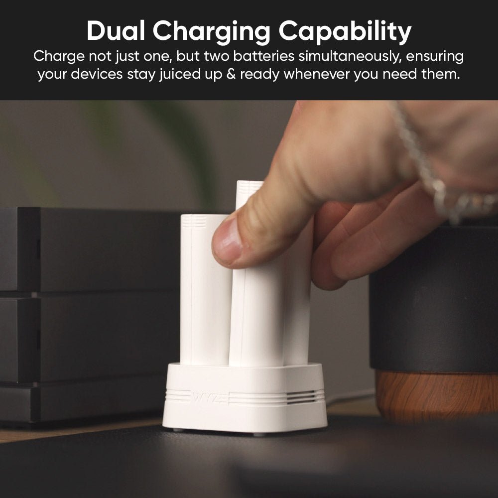 Fancy Battery Charging Dock