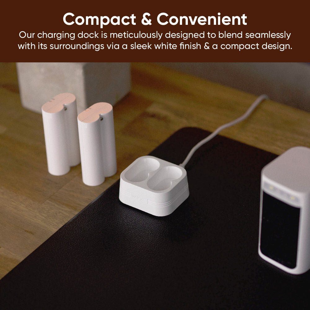 Fancy Battery Charging Dock