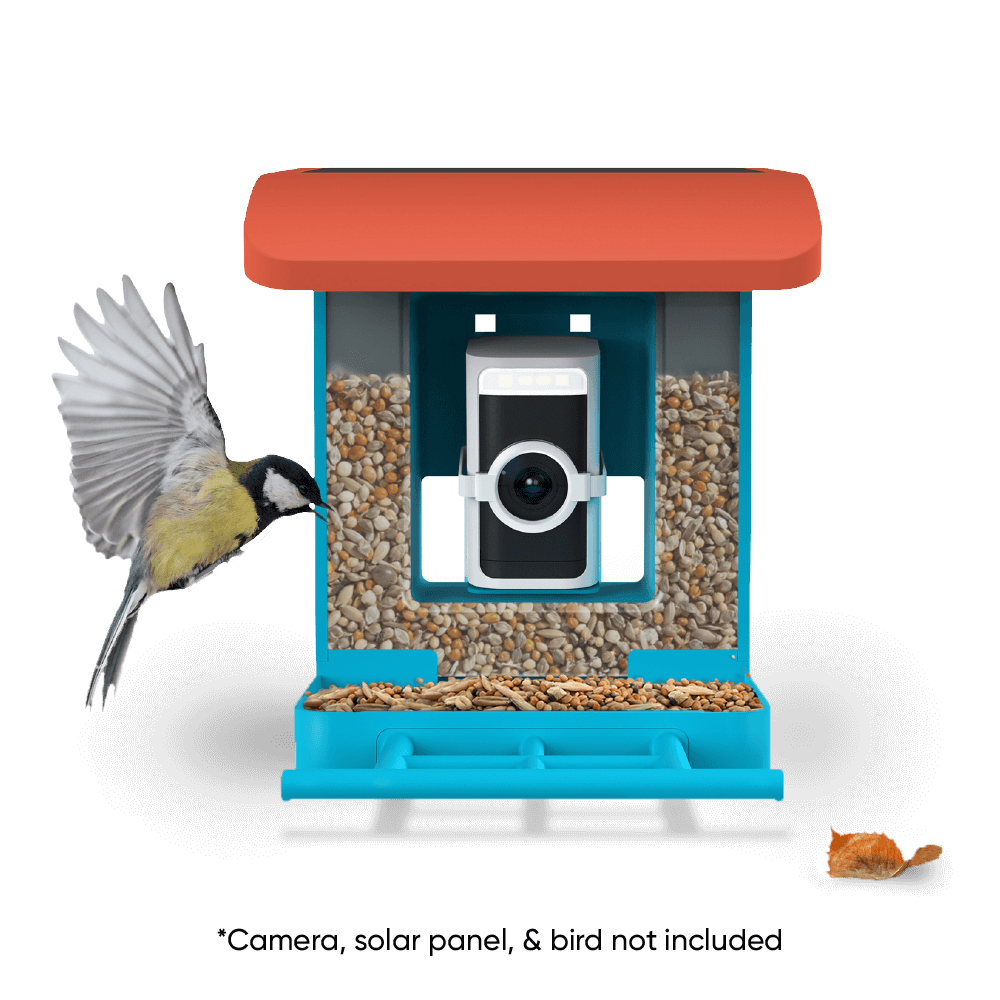 Fancy Bird Feeder