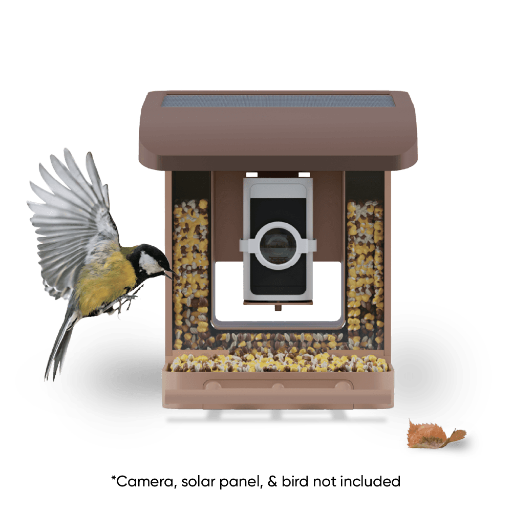 Fancy Bird Feeder