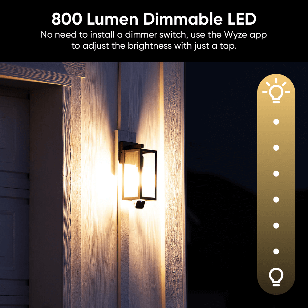 Fancy Bulb Cam + Accessory Bulbs