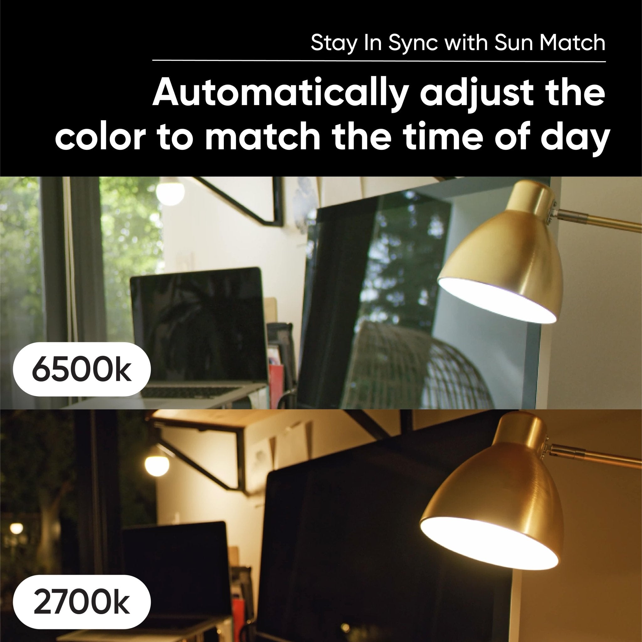 Fancy Bulb White