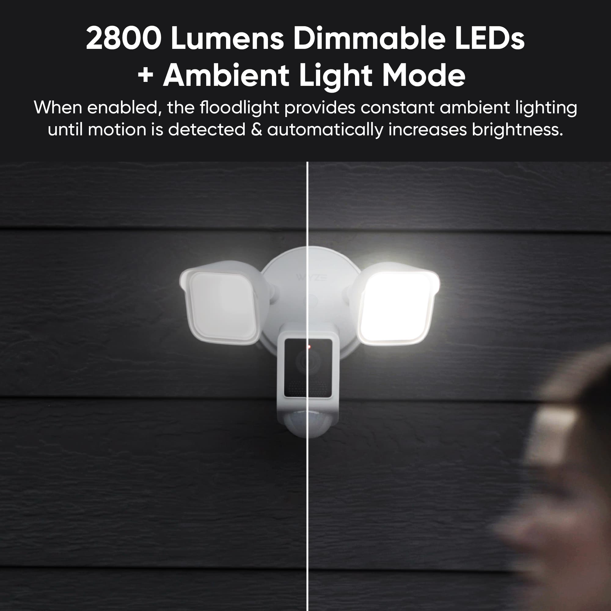 Fancy Cam Floodlight v2