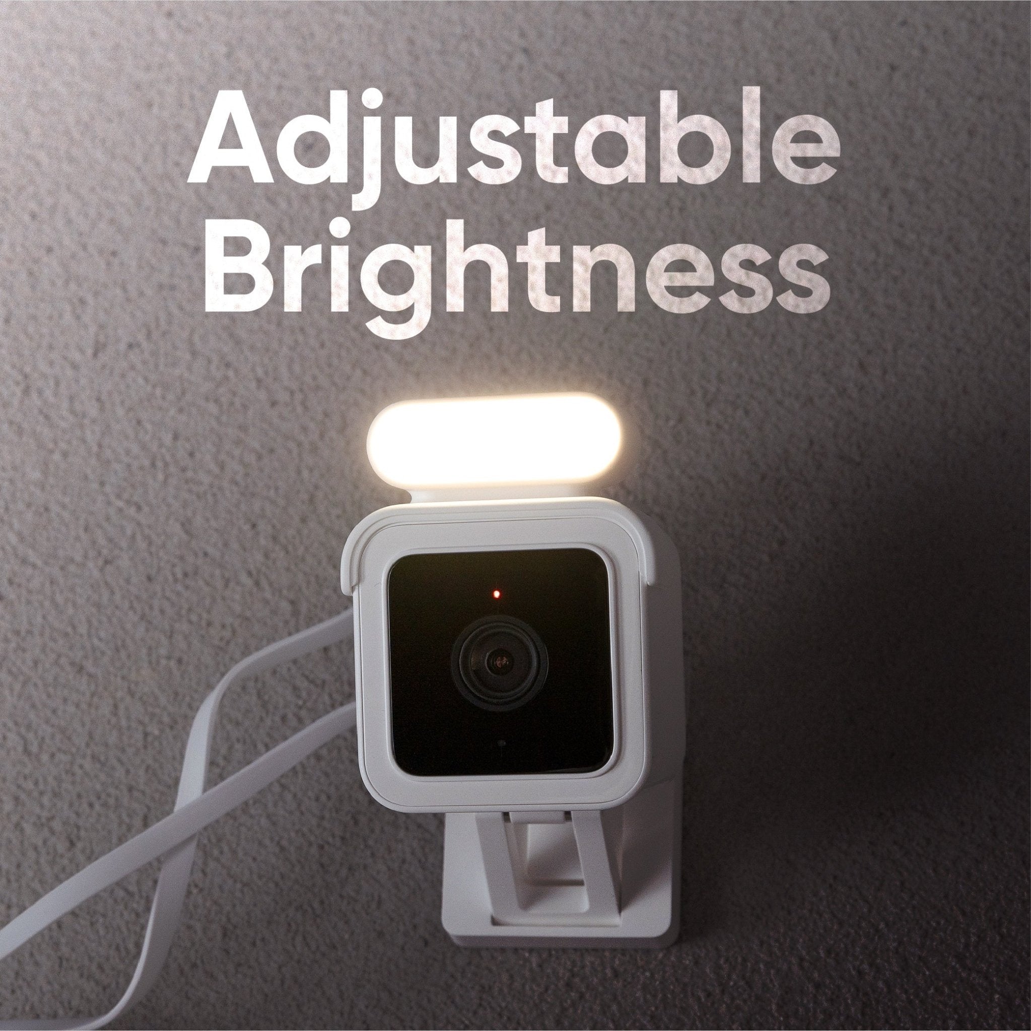 Fancy Cam Spotlight Bundle
