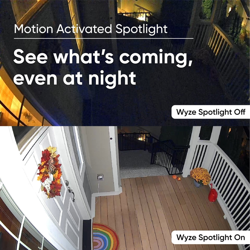 Fancy Cam Spotlight Bundle