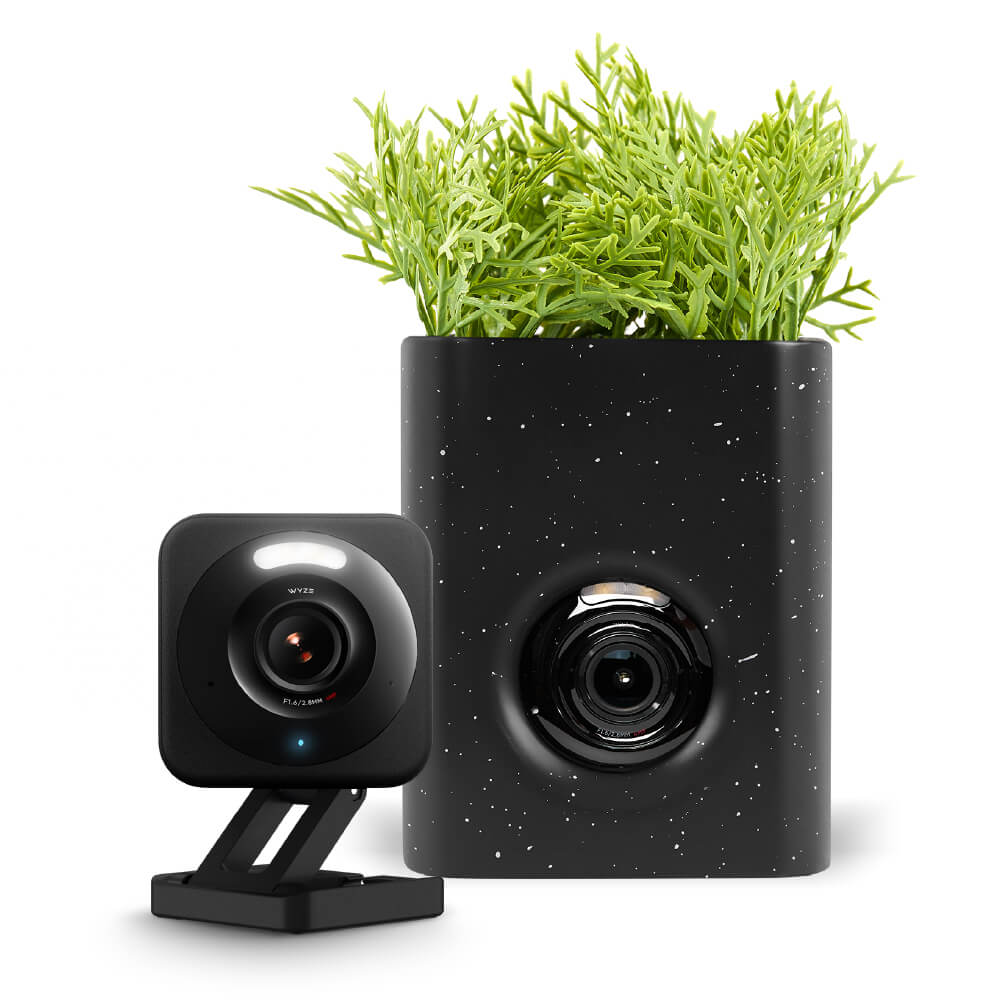 Fancy Cam Vase
