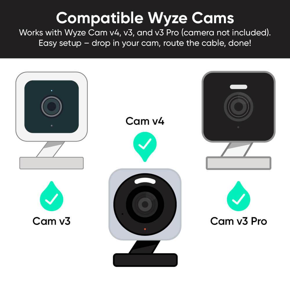 Fancy Cam Vase