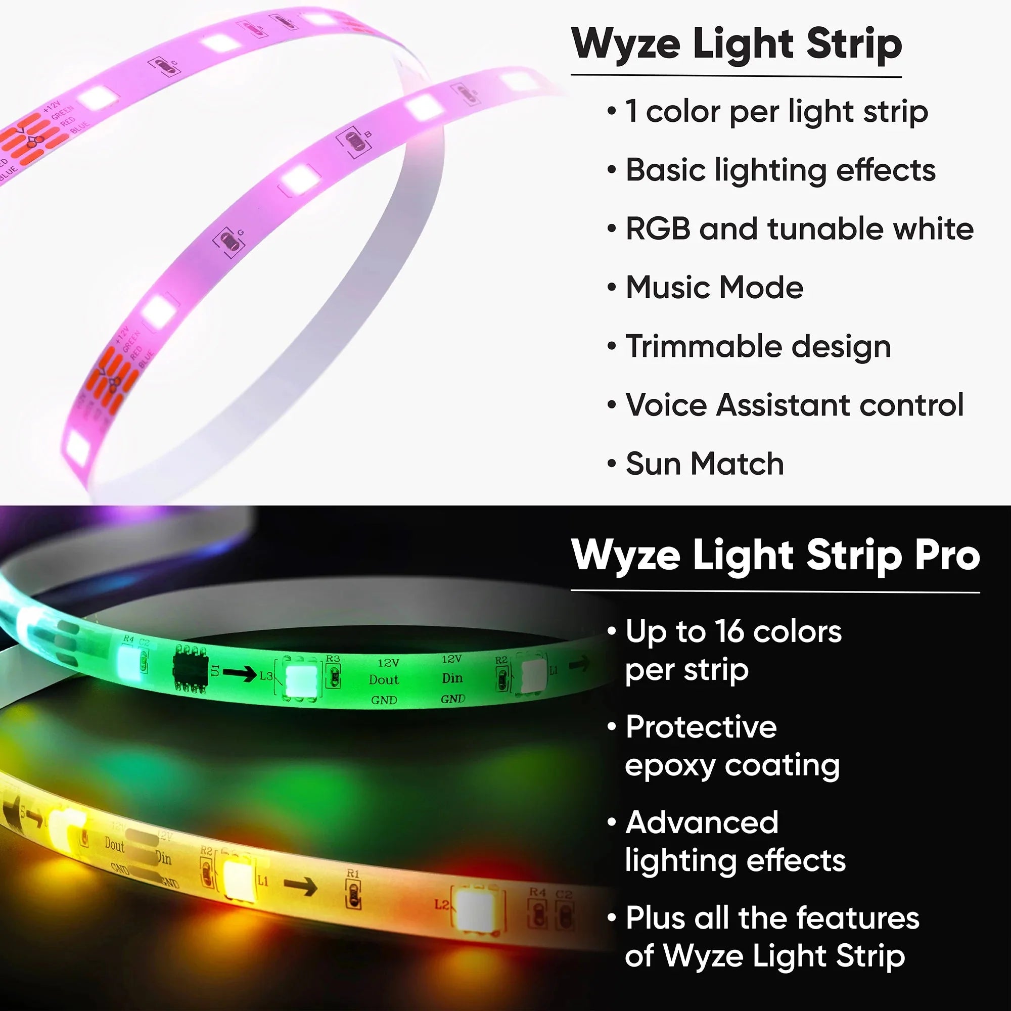 Fancy Color Lighting Bundle