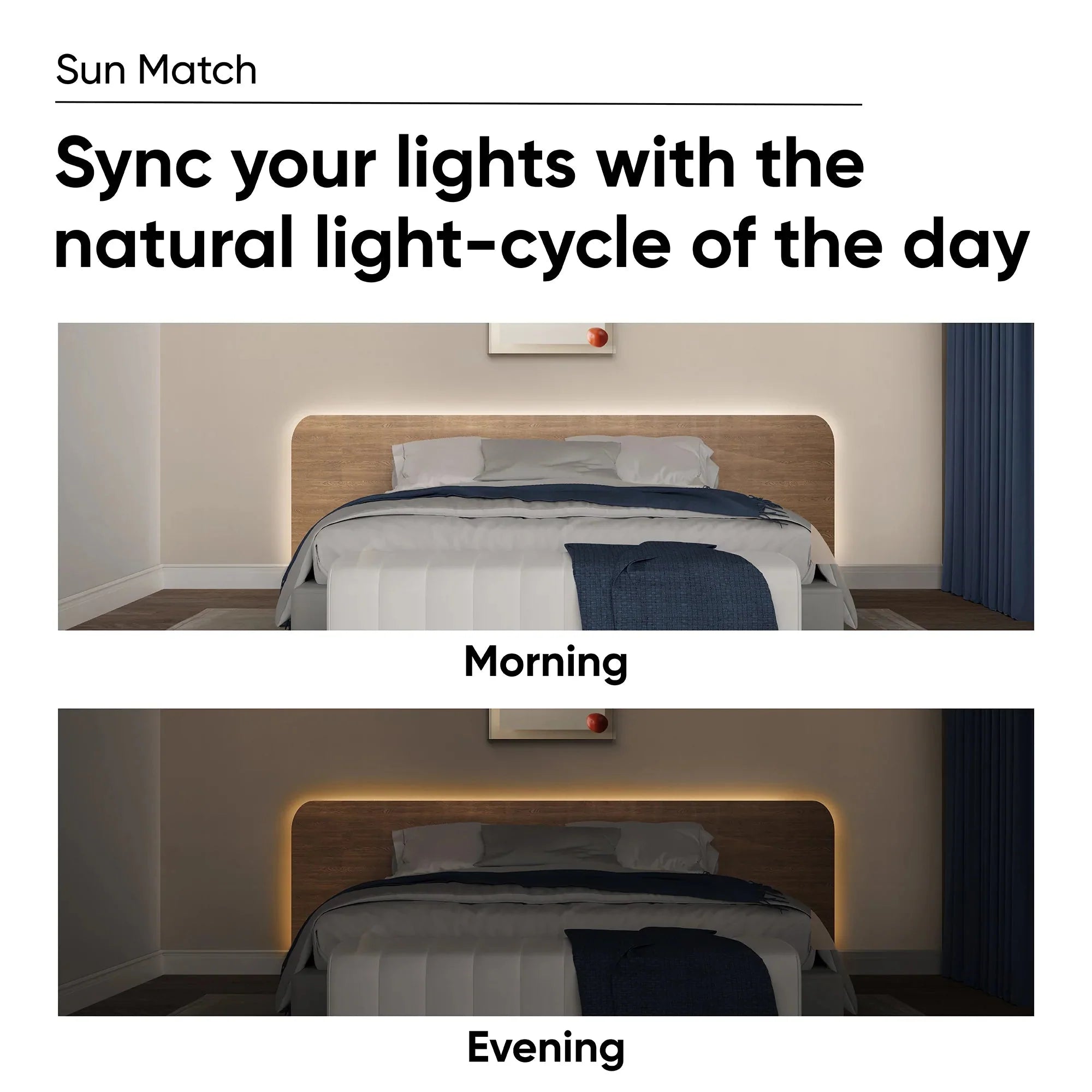 Fancy Color Lighting Bundle
