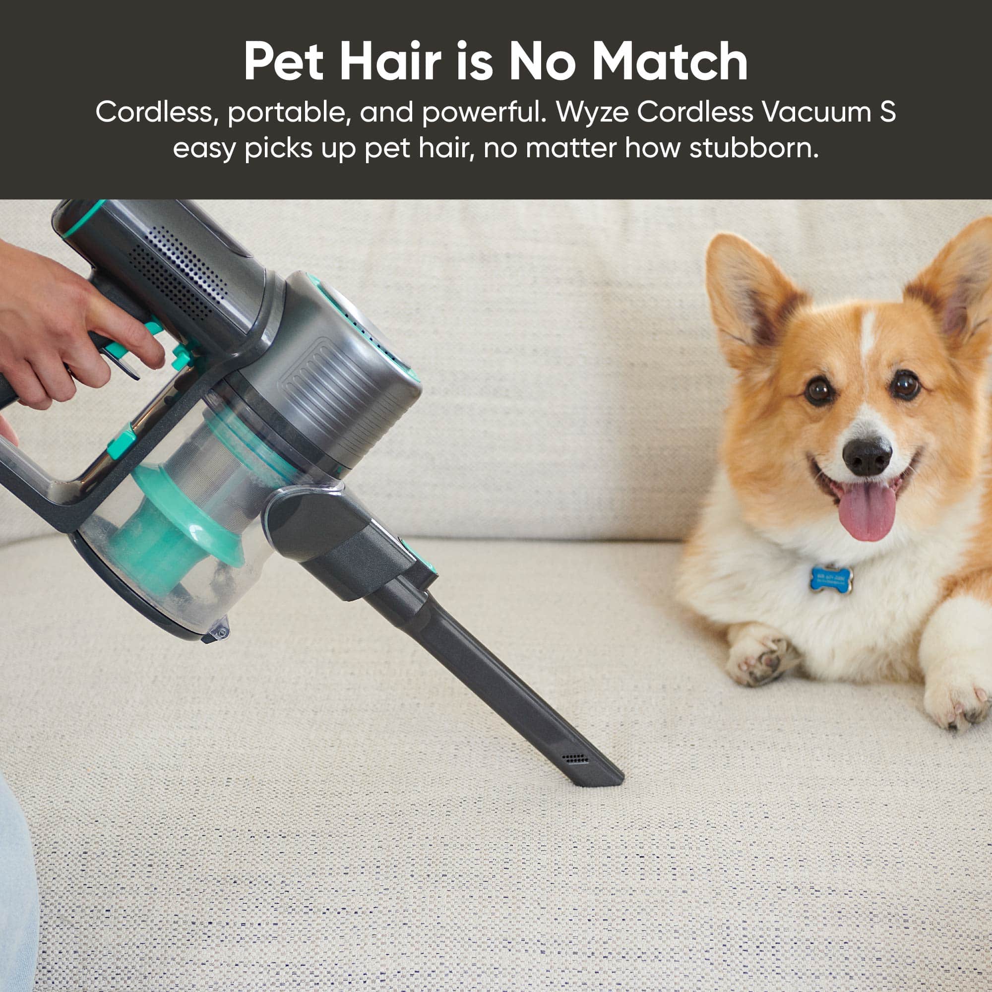 Fancy Cordless Vacuum S
