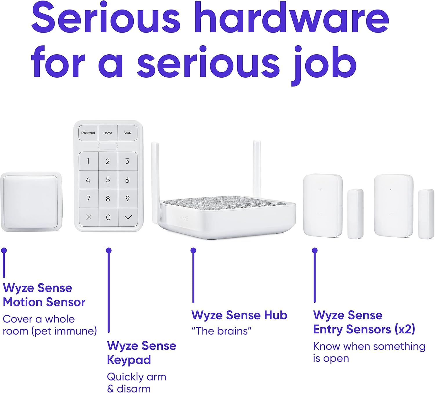 Fancy Home Monitoring Core Starter Kit