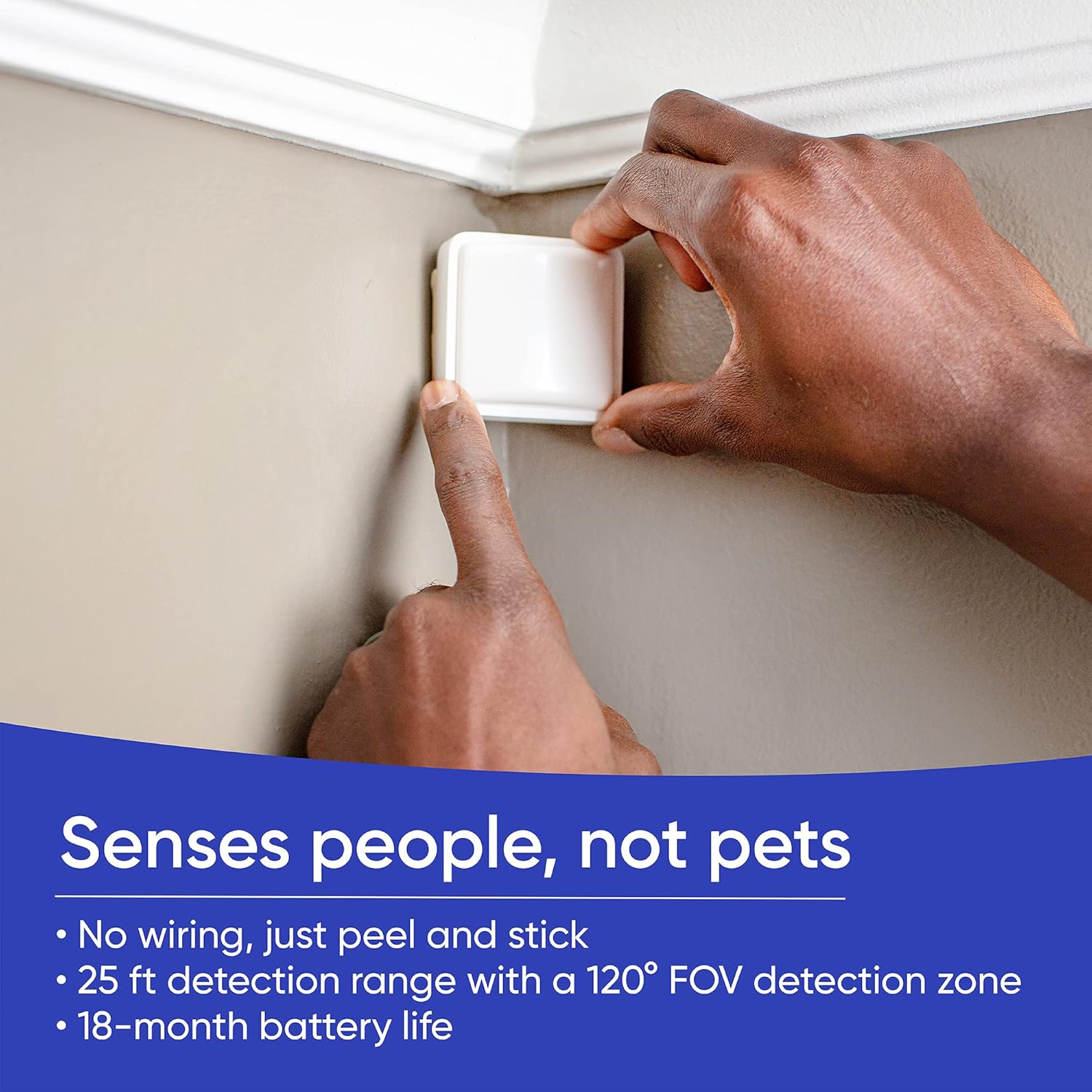 Fancy Home Monitoring Core Starter Kit
