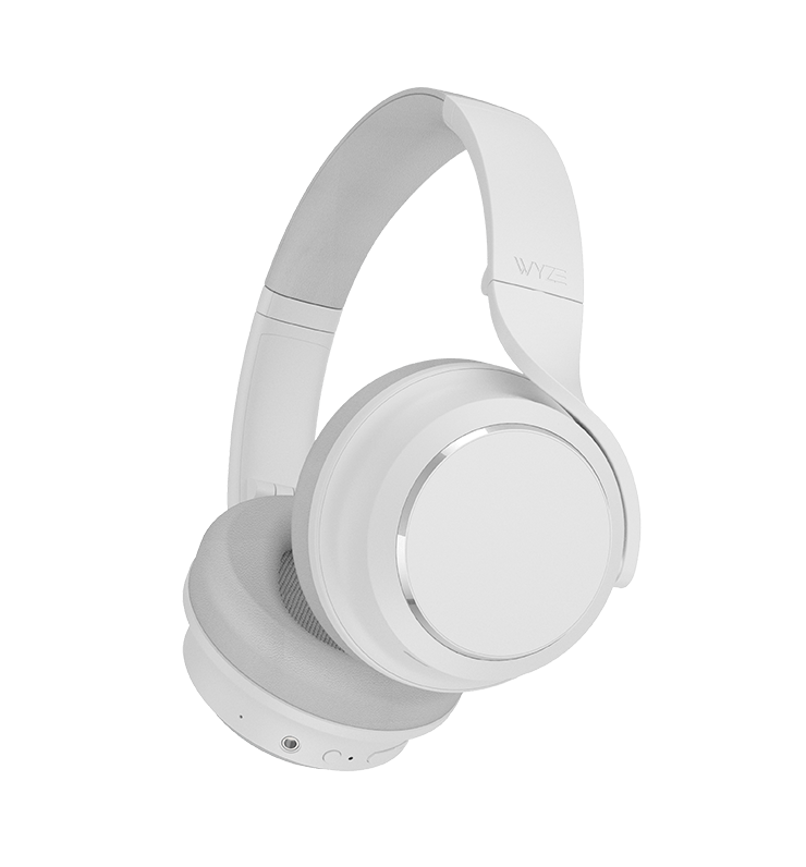 Fancy Noise-Cancelling Headphones