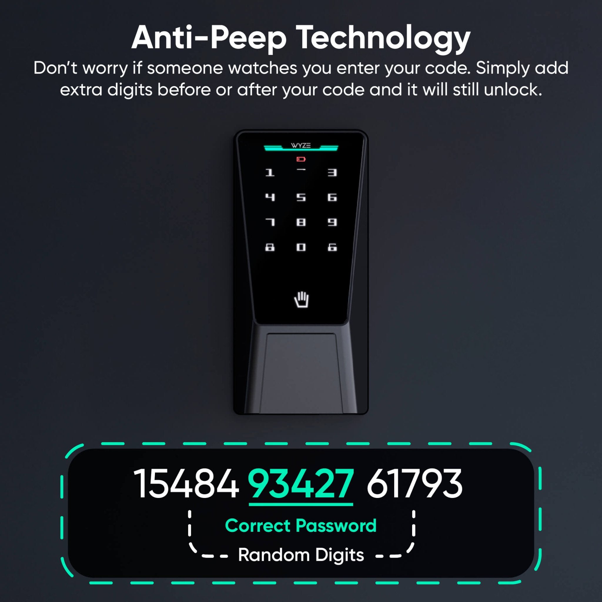 Fancy Palm Lock