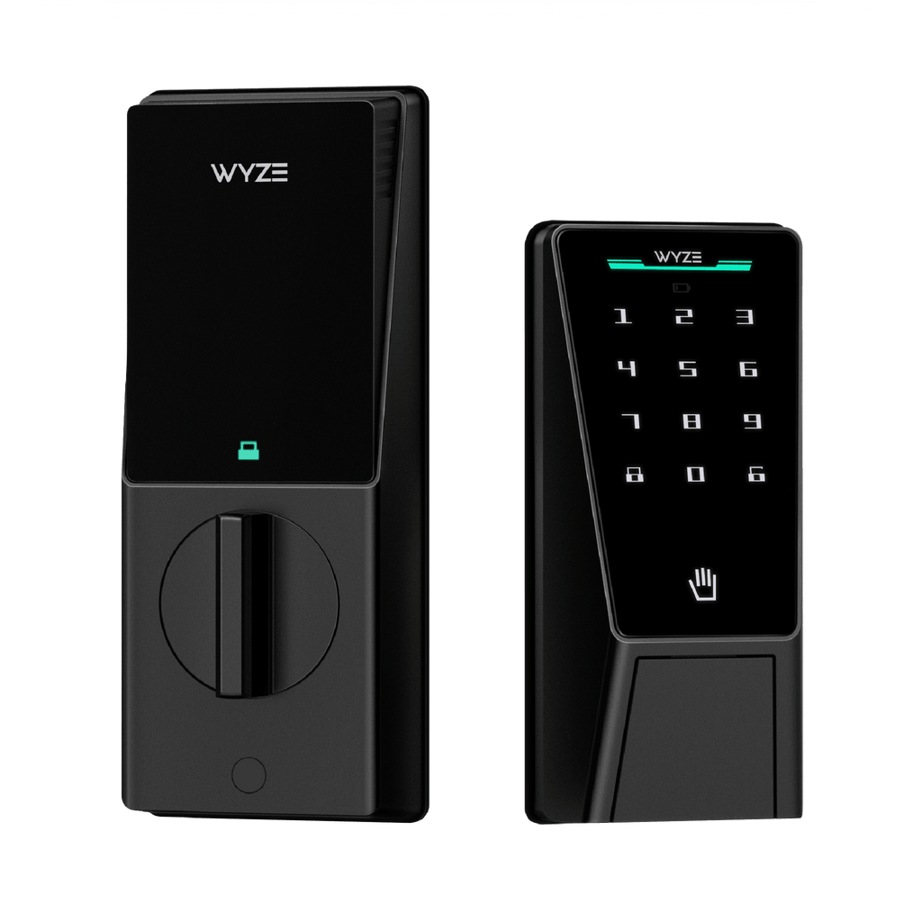 Fancy Palm Lock