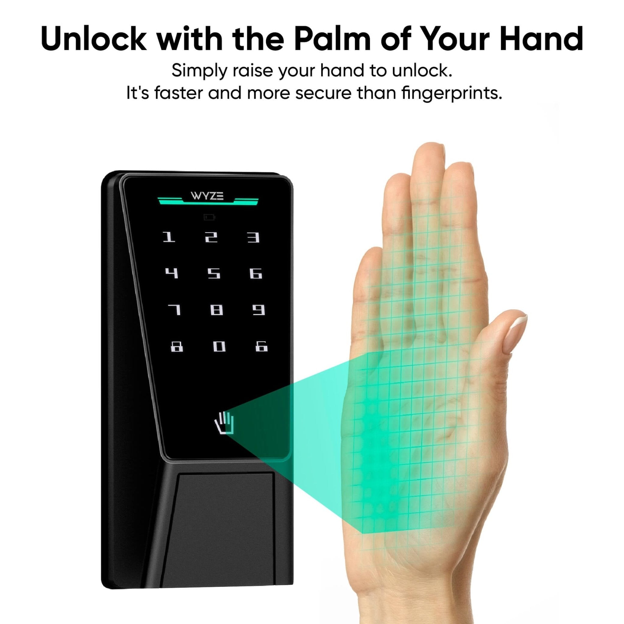 Fancy Palm Lock