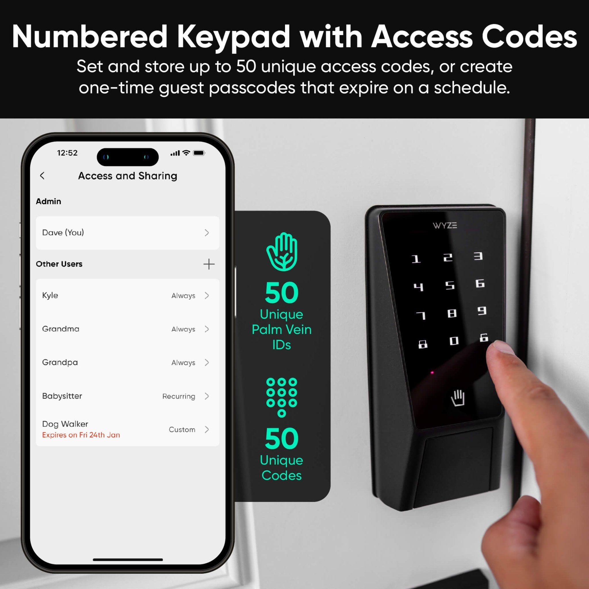 Fancy Palm Lock