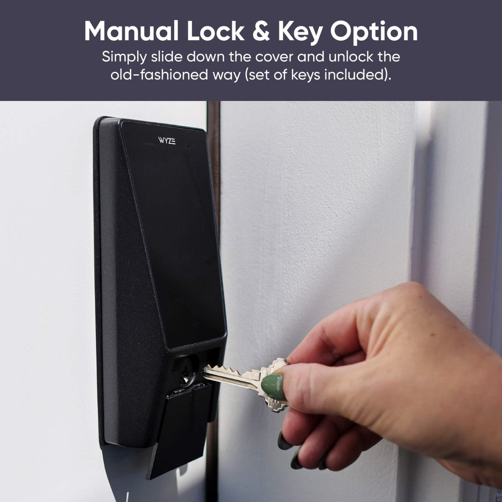 Fancy Palm Lock