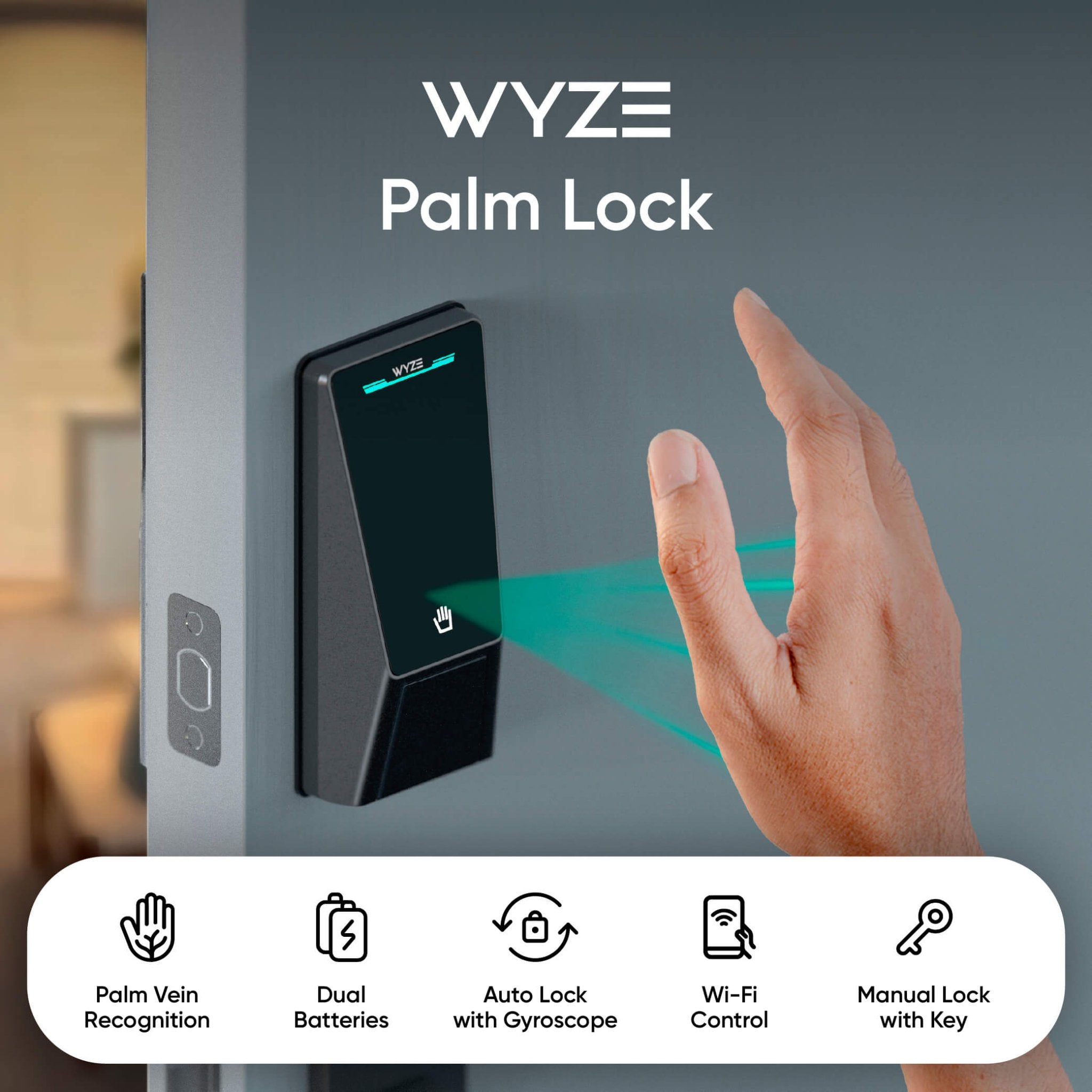 Fancy Palm Lock