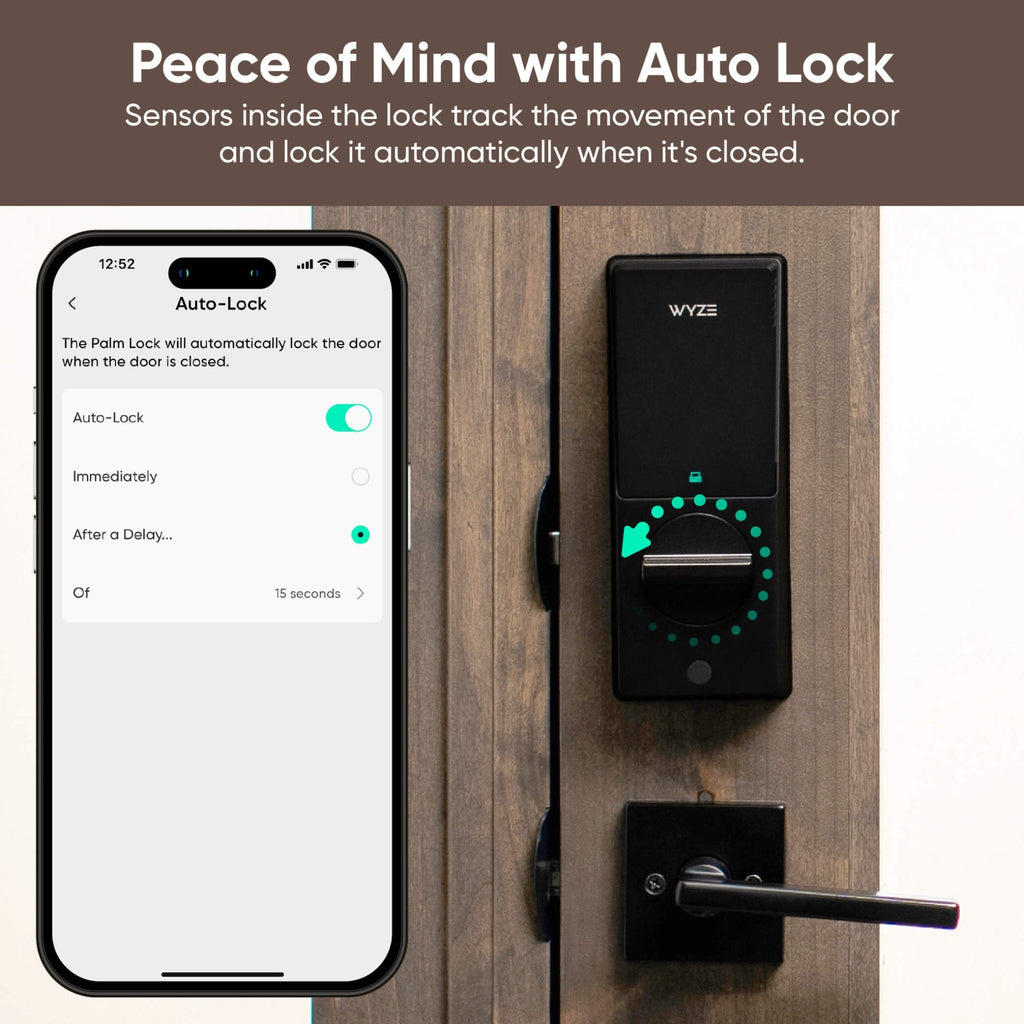 Fancy Palm Lock