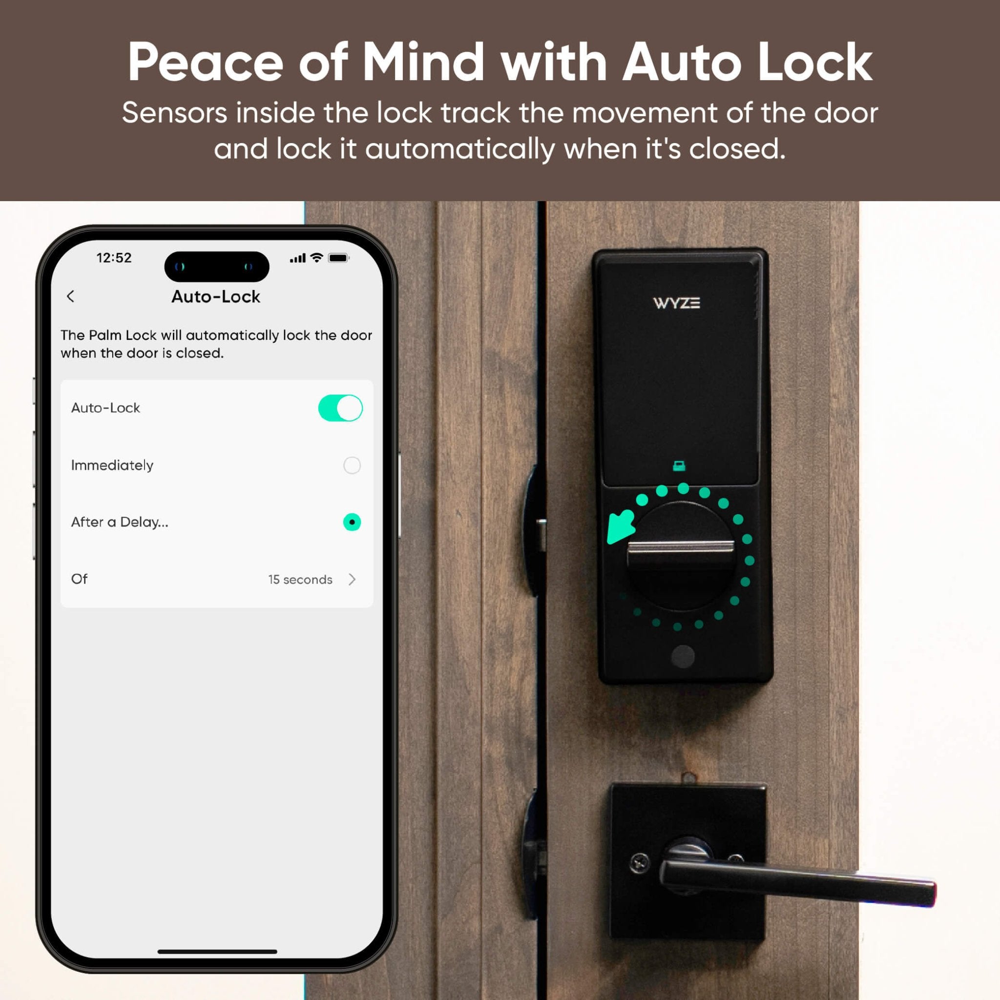 Fancy Palm Lock