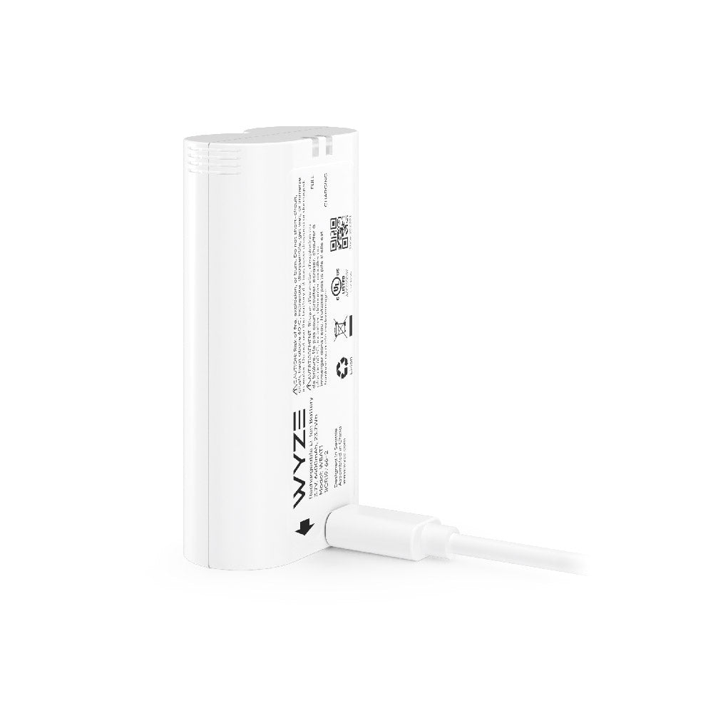 Fancy Removable Battery Pack