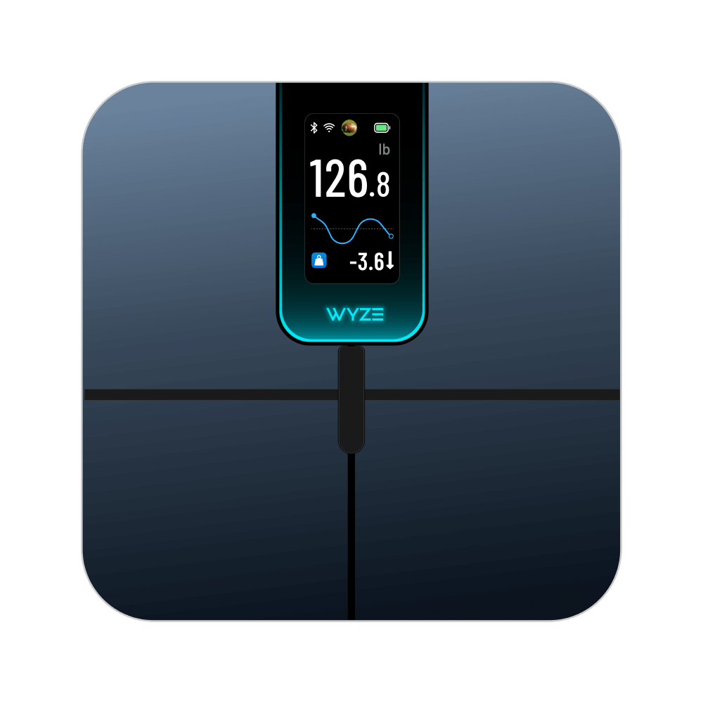 Fancy Scale Ultra