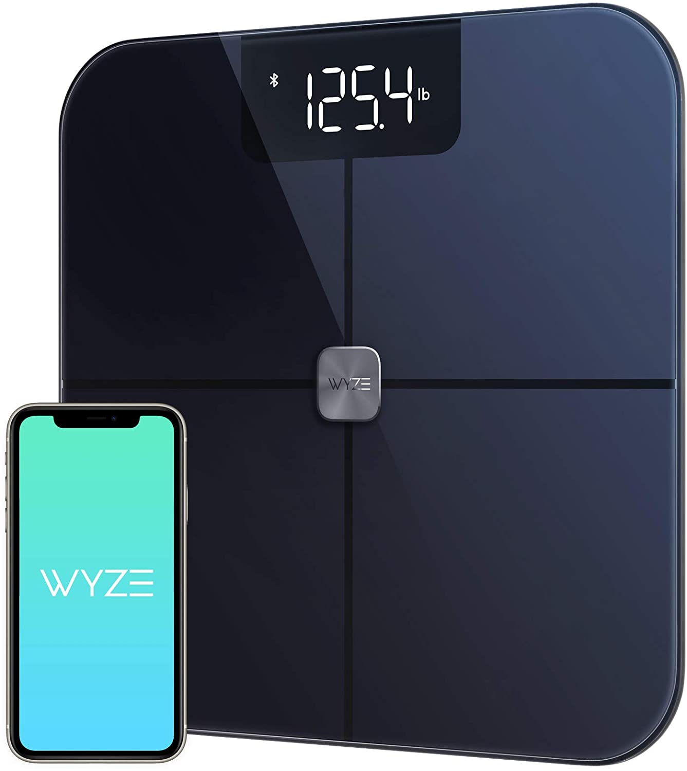 Fancy Scale