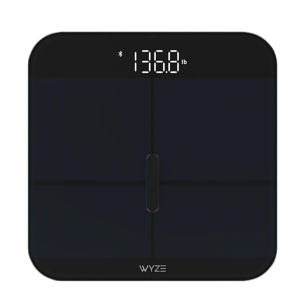 Fancy Scale X