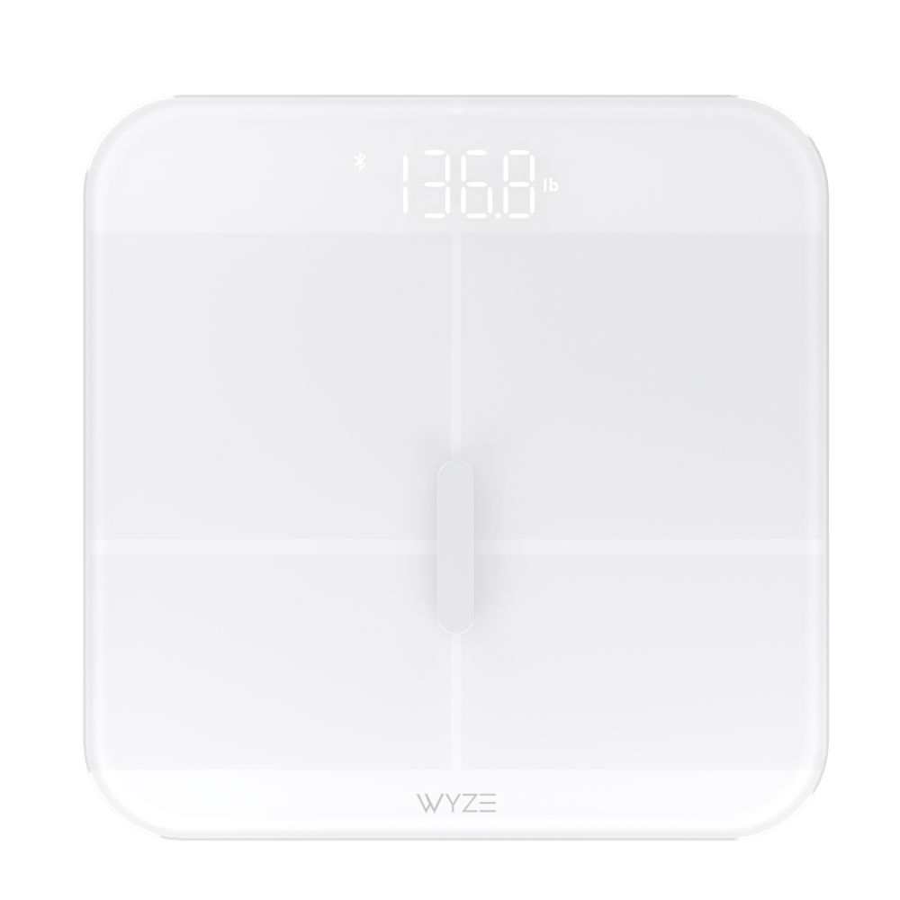 Fancy Scale X