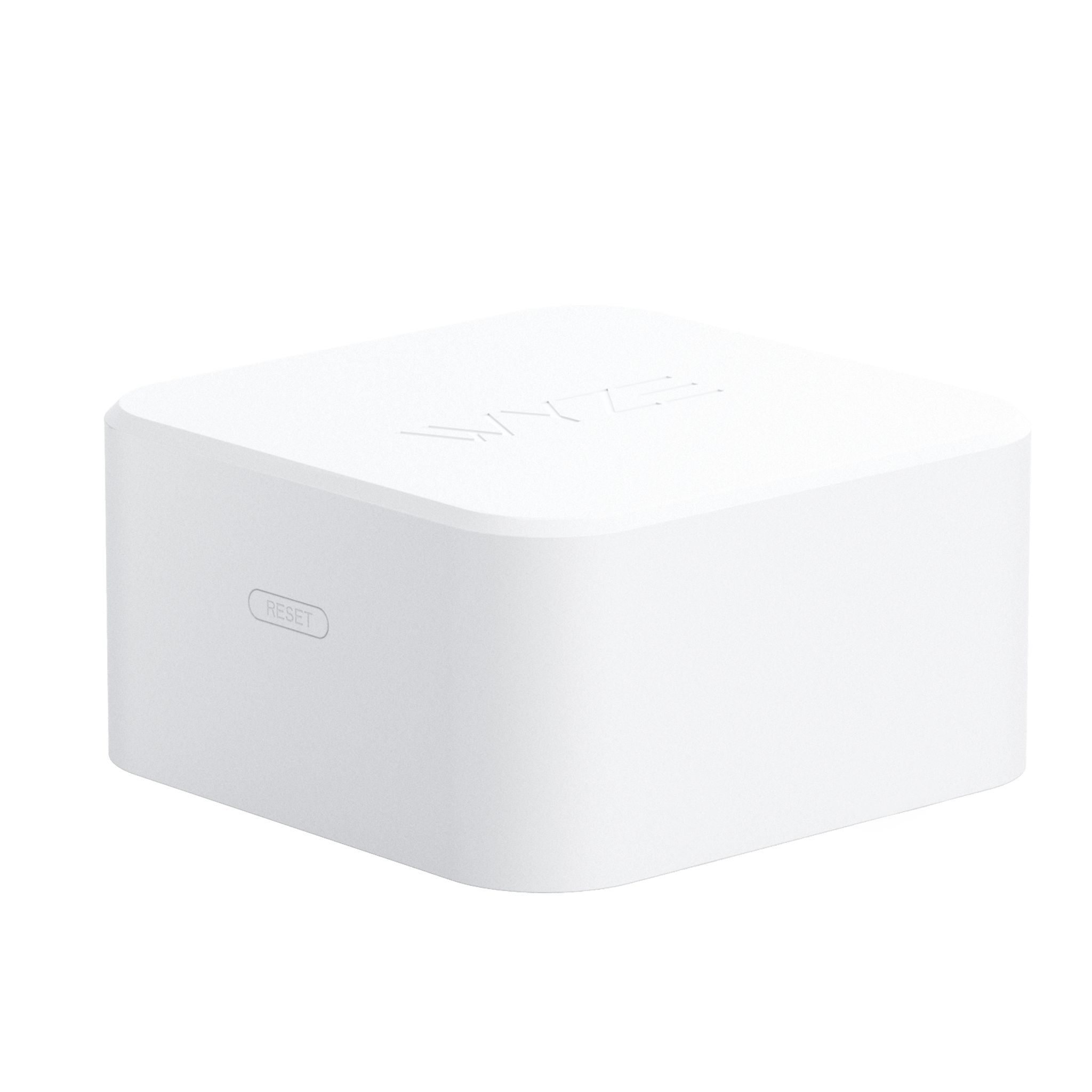 Fancy Sense Leak Sensor & Probe