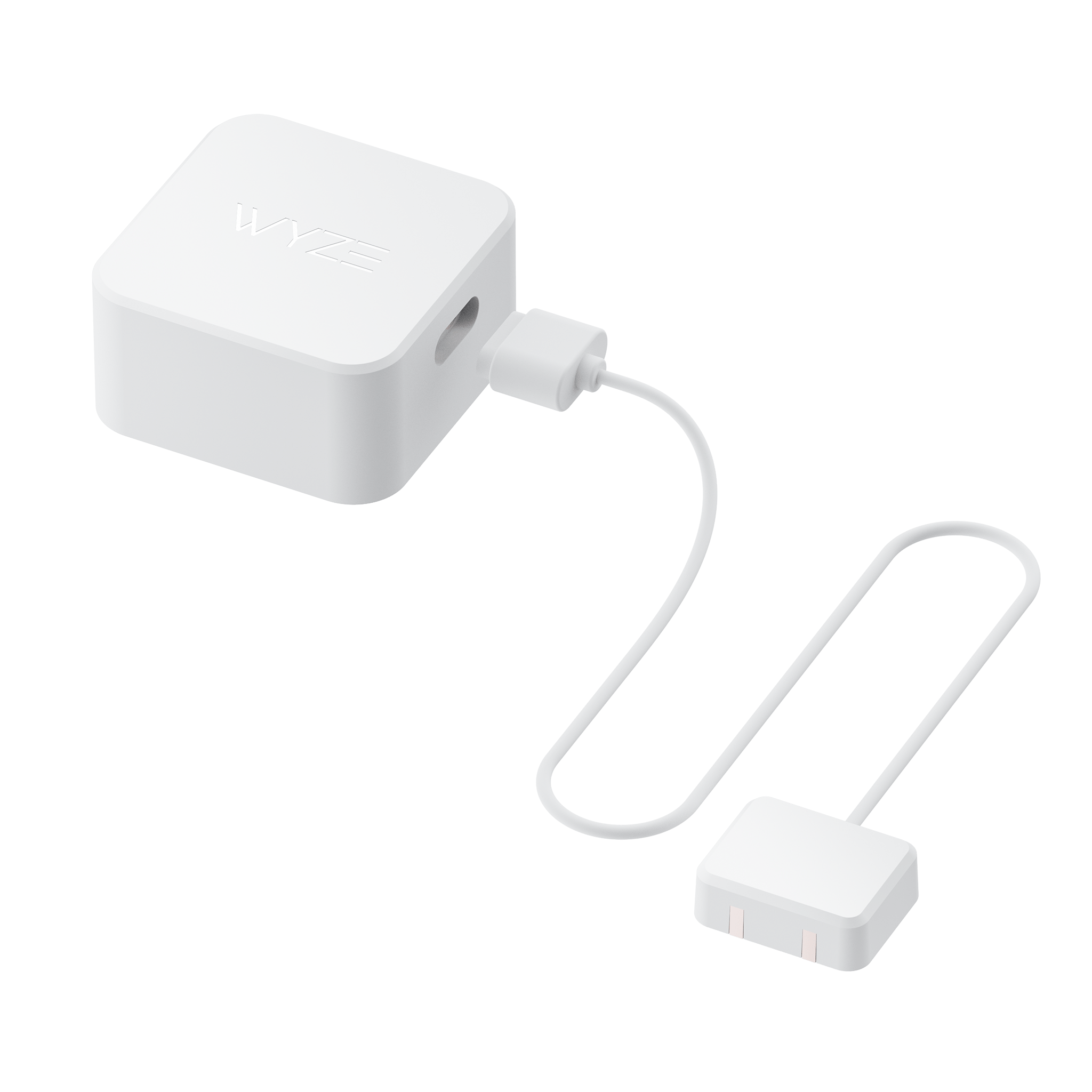 Fancy Sense Leak Sensor & Probe